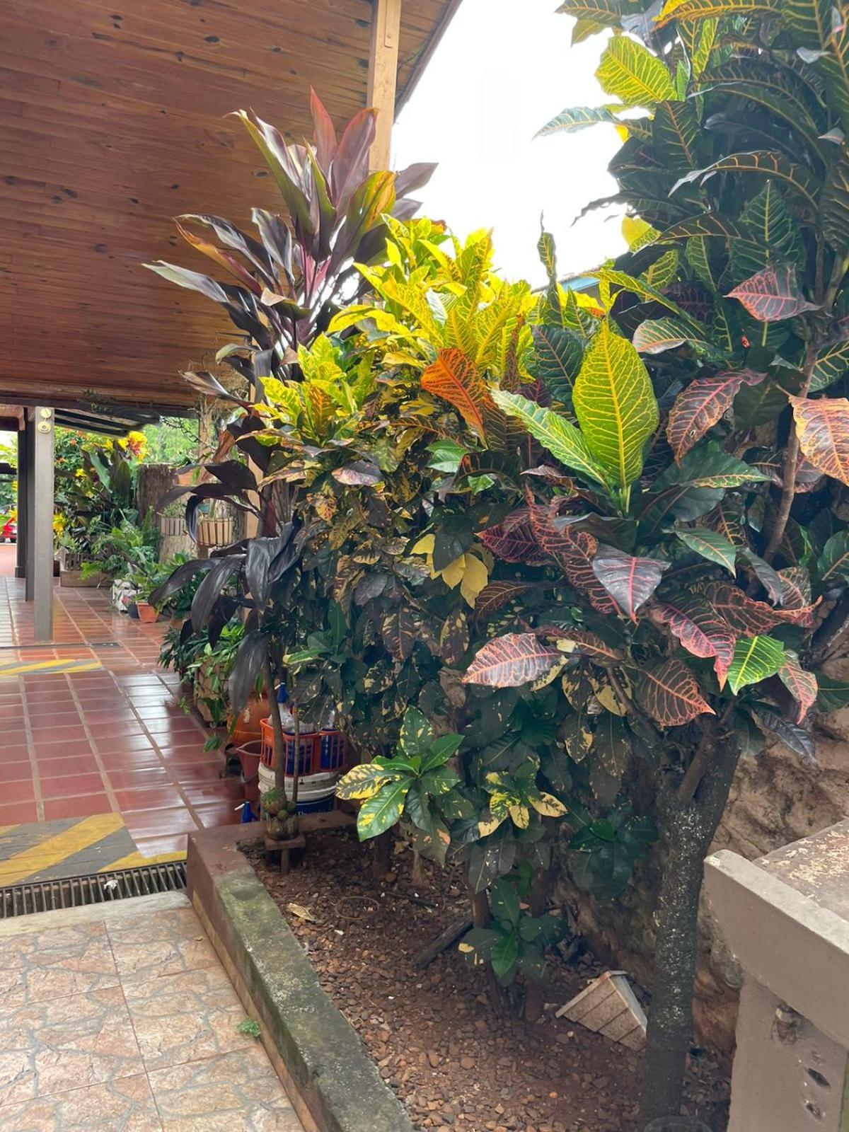 Residencial Arcoiris Hotel Puerto Iguazú Eksteriør billede